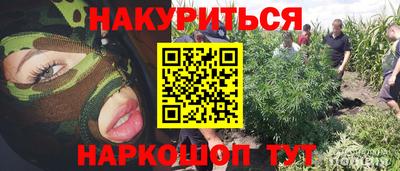 прущие крисы Обь