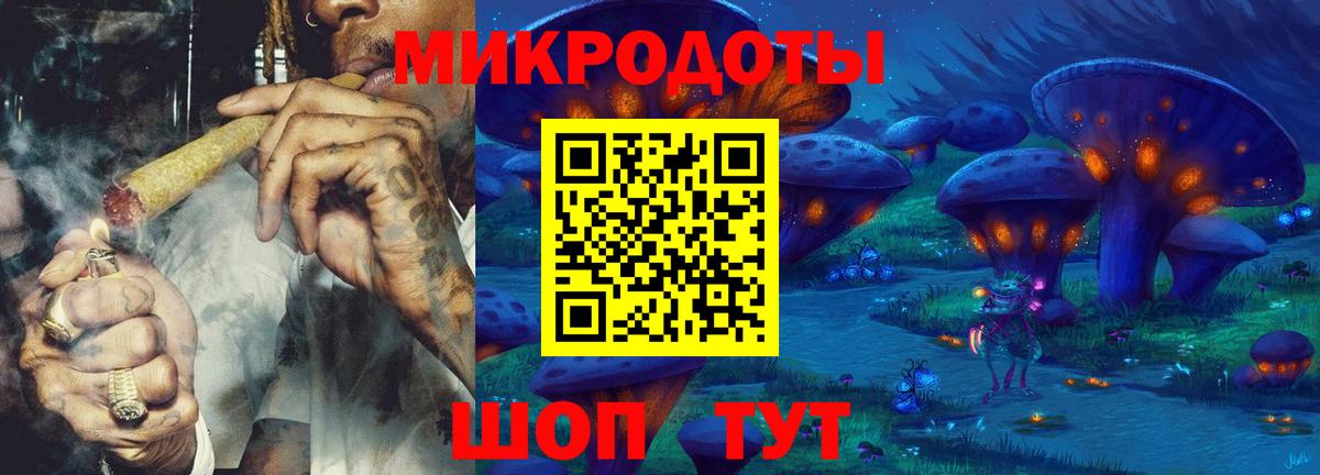 Галлюциногенные грибы Psilocybe Сердобск