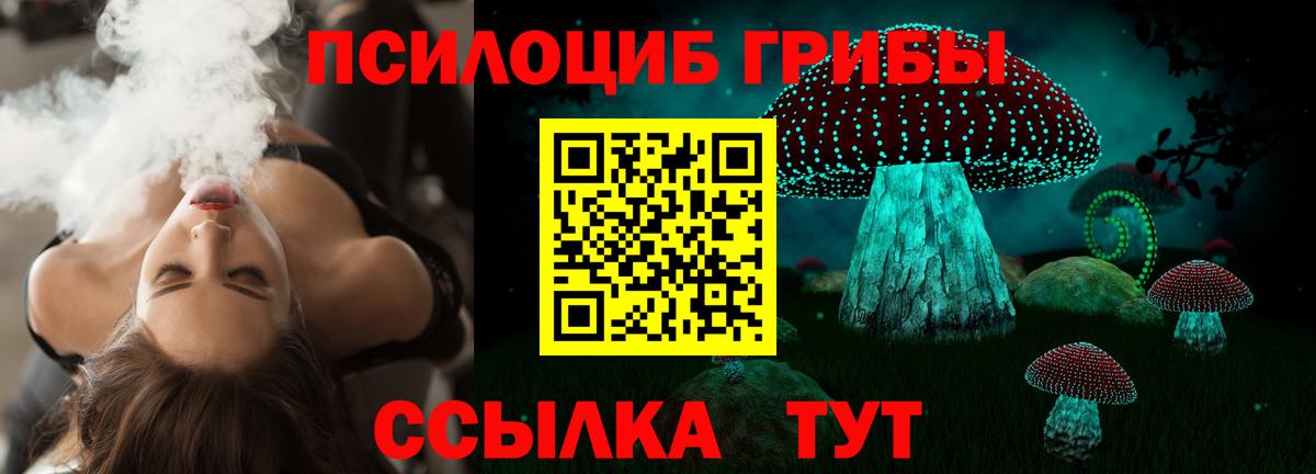 наркошоп  Галлюциногенные грибы мицелий  Вход с VPN  Сердобск 