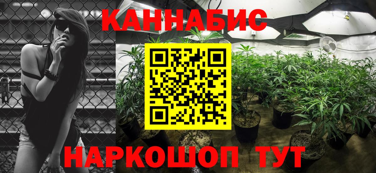 Сердобск  Канабис гибрид  Бошки Шишки SATIVA & INDICA  Бошки Шишки конопля  Шишки марихуана MAZAR  Вход с VPN 